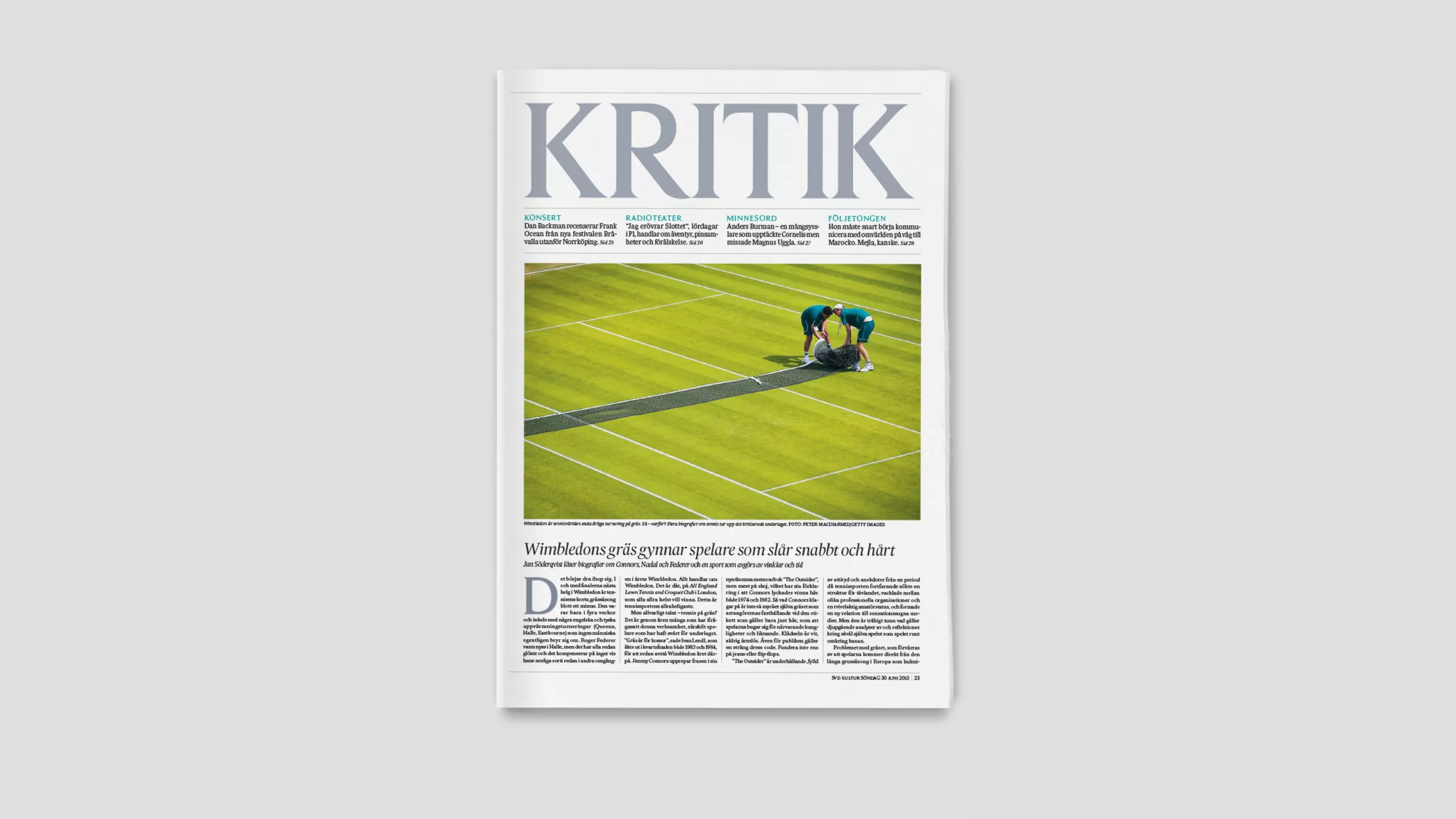 Sv D Kritik Page V02